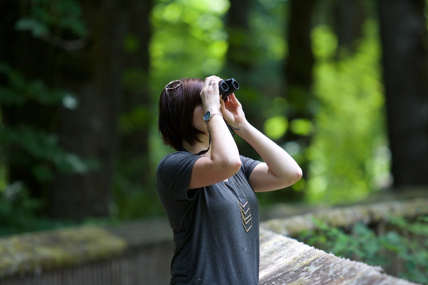 Tips til at fotografere fugle effektivt